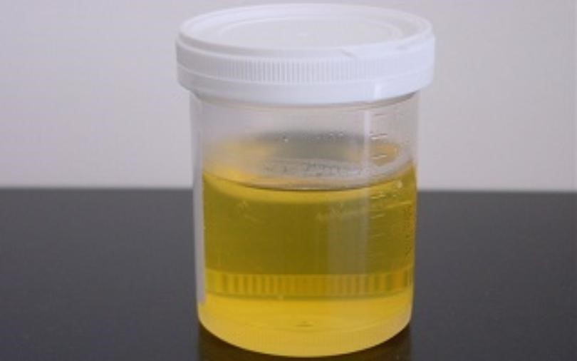 Synthetic Urine Stores Near Me Savannah GA 31401